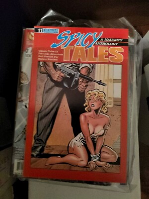 Spicy Tales #11 (1st Printing) Tpb Second Printing Bruce Timm Covers Rare