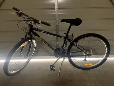 adult female bike