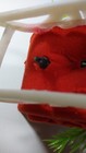 Bild 22 von 24