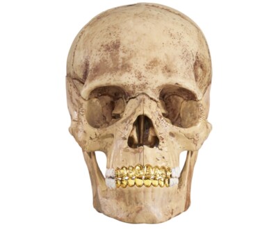 Supreme 4D Model Puzzle Human Skull With Gold Grills FW23 NEW In