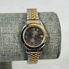 Timex Watch Womens Two Tone Date Indiglo 26mm Stretchy New Battery