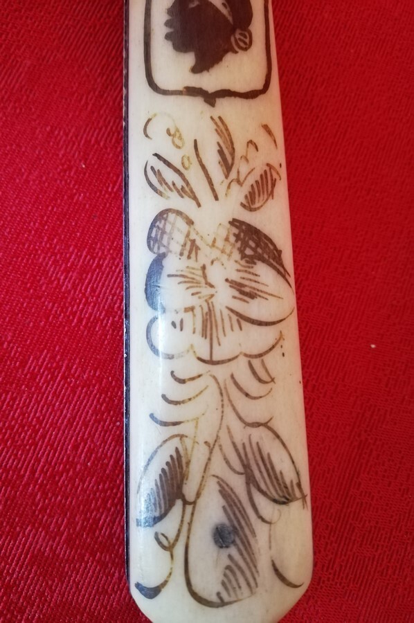 Picture 5 of 12
