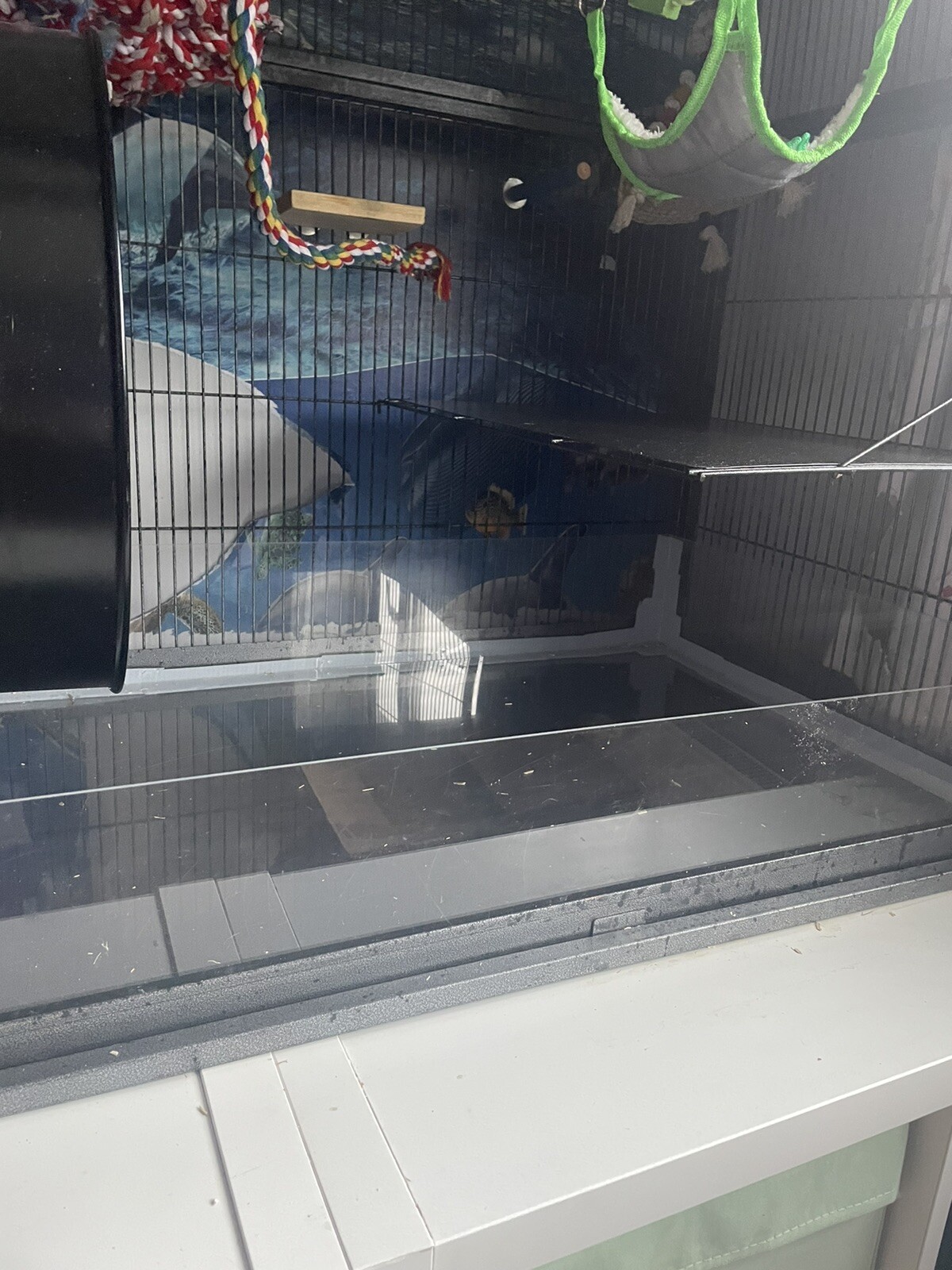 Pet Cage Large Rats, Ferrets eBay