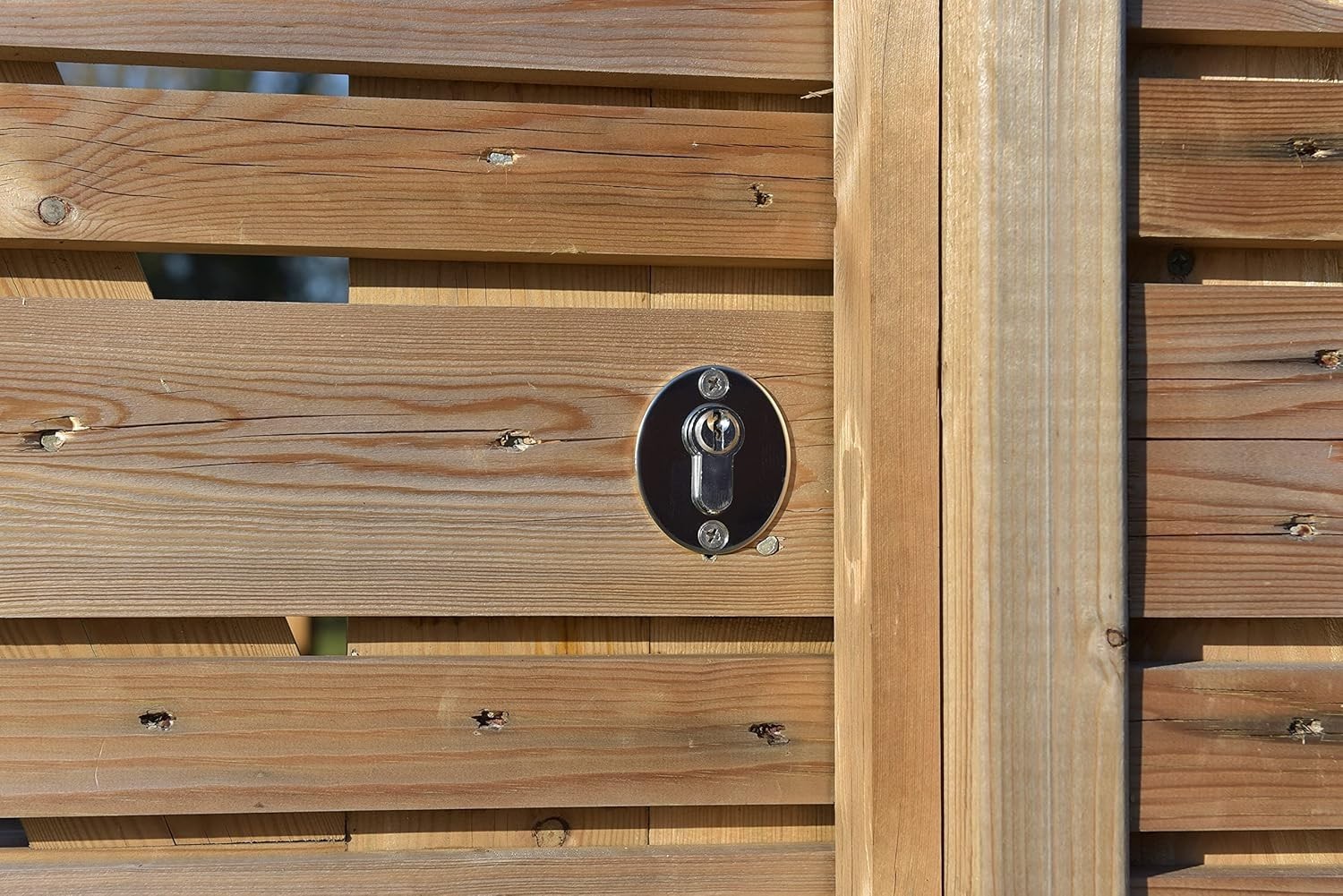 Keyed Inside & Outside Gate Lock in Stainless Steel