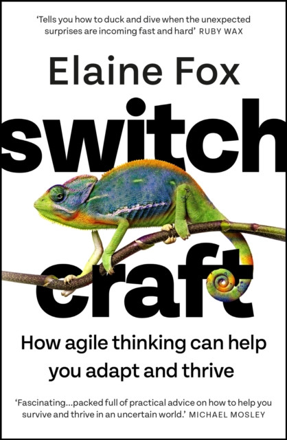 Switchcraft by Elaine Fox (Paperback Book)