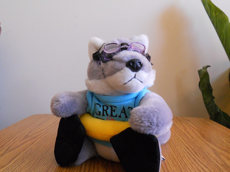 Great Wolf Lodge Poconos Wiley the Wolf Grey Stuffed Plush w/ Swimming Gear 7" 