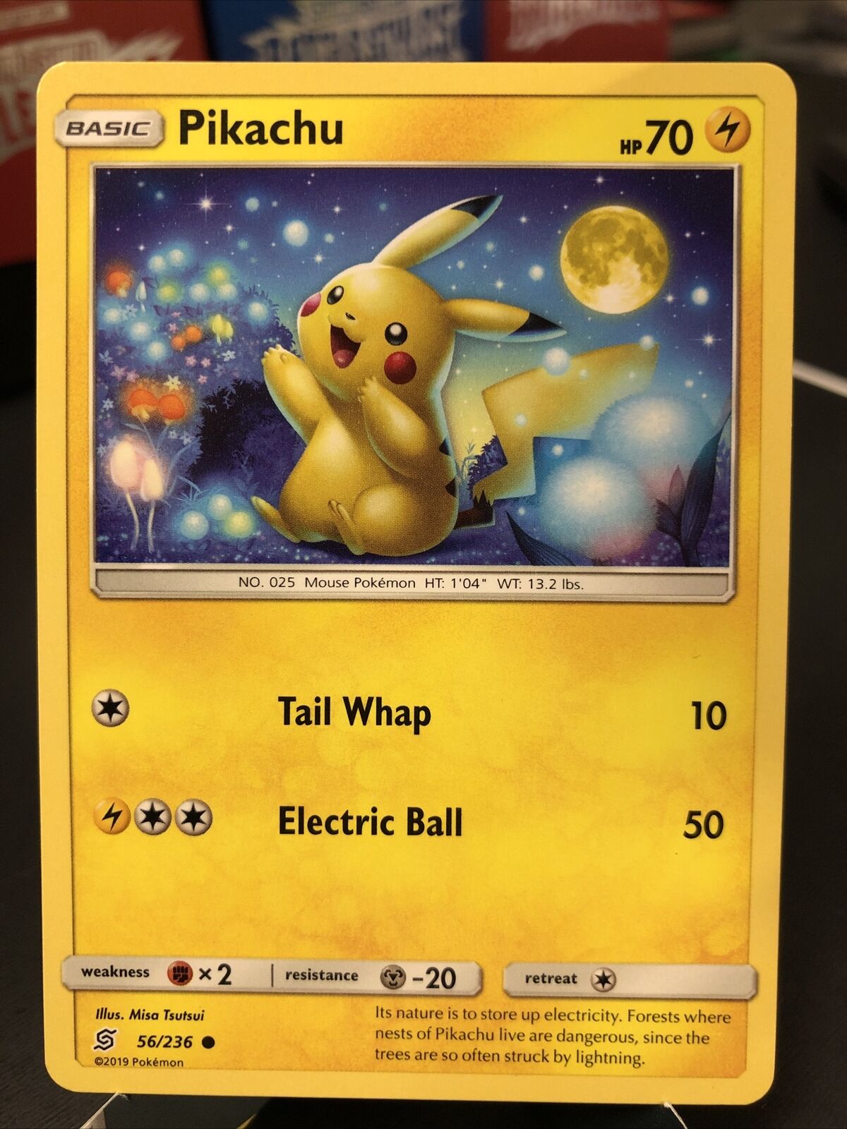 Pikachu M LV.X (DPt-P Promo 43) - Bulbapedia, the community-driven Pokémon  encyclopedia