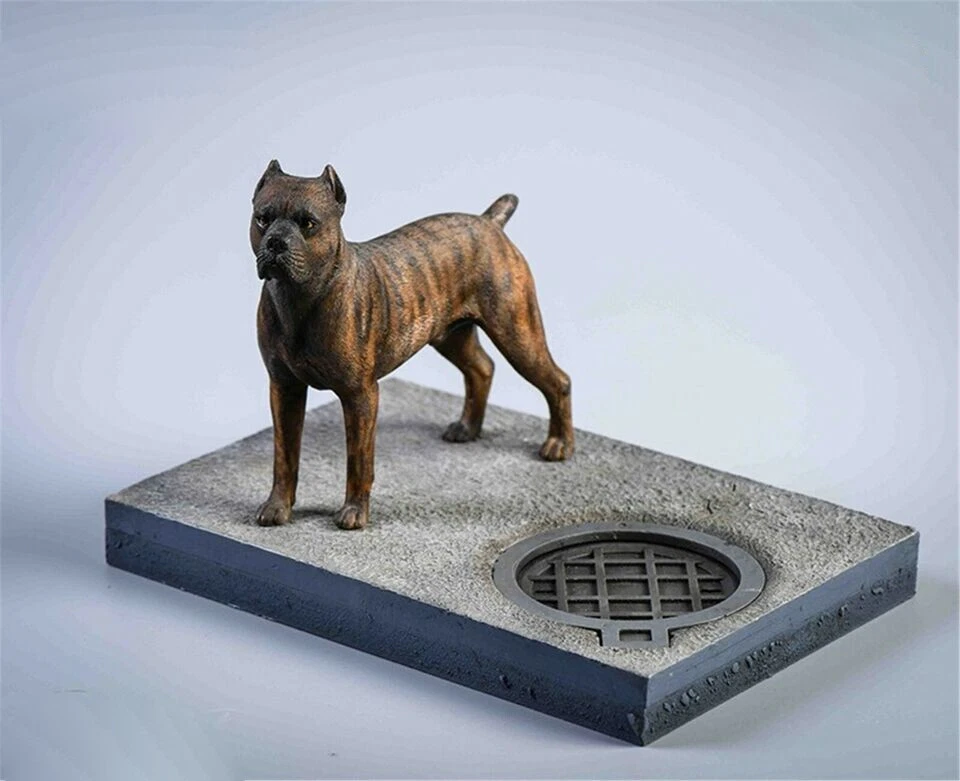 Cane corso best sale c