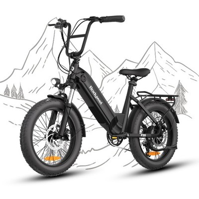 E Bike Elektrofahrrad 48V 15Ah 250W 25KM/H E-Mountainbike Damen Herren 7 Gänge