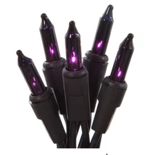 Purple String Mini Light Set, 50-Lights Black Halloween holiday indoor outdoor