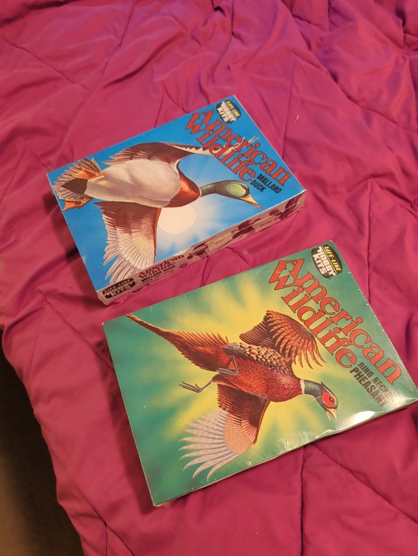 Hobby Kits 2 Mallard Duck & Ring Neck Pheasant Both New In Box With Plastic Wrap