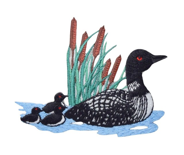 Divers Loon with Cattails and Chicks Birds Iron On Embroidered Applique