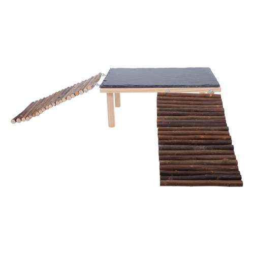 Bearded Dragon Basking Platform - Reptile Basking Ramp | eBay Australia