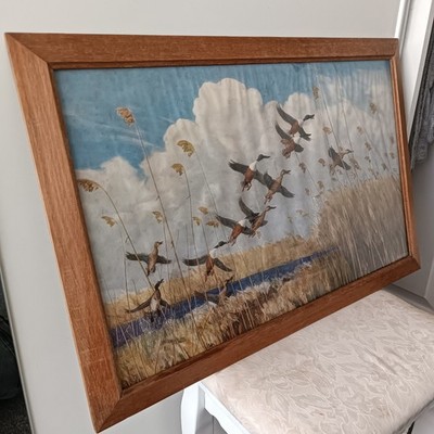 Peter Scott ''Taking to Wing'' gerahmter Vintage Druck 1934 große Ente Wildlife Szene