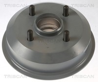 2X Triscan Bremstrommel 8120 16202C FüR Ford Fiesta 3 GFJ Escort 6 GAL AAL ABL 4