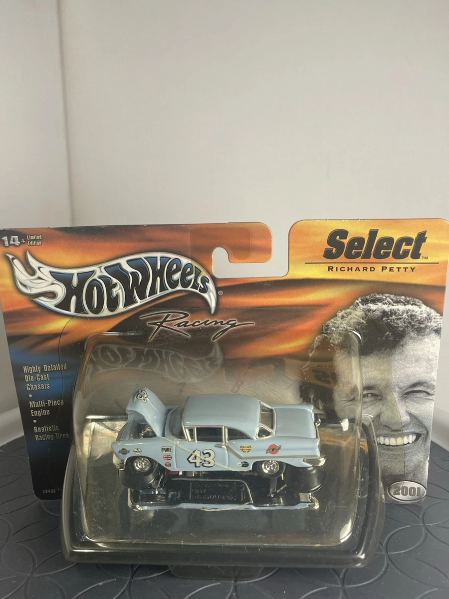 Hot Wheels Racing Diecast Racing Cars Richard Petty for sale | eBay