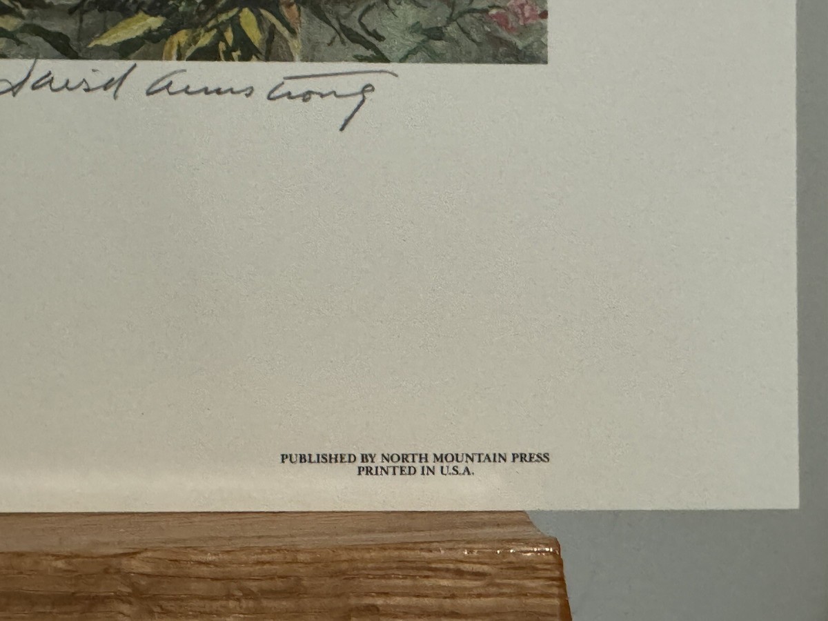 David Armstrong “Blueberries And Phlox” Pencil signed by artist *A