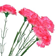 MULTI-LISTING Premium Carnation Long Stem Flowers Artificial