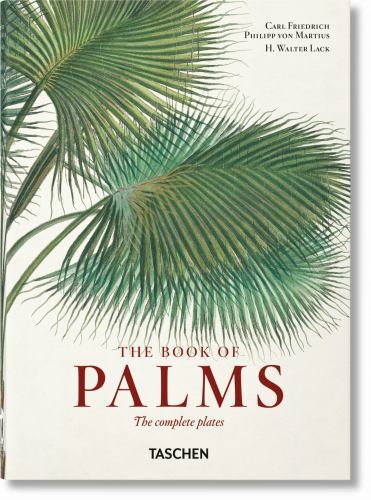 Martius. the Book of Palms. 45th Ed by H. Walter Lack
