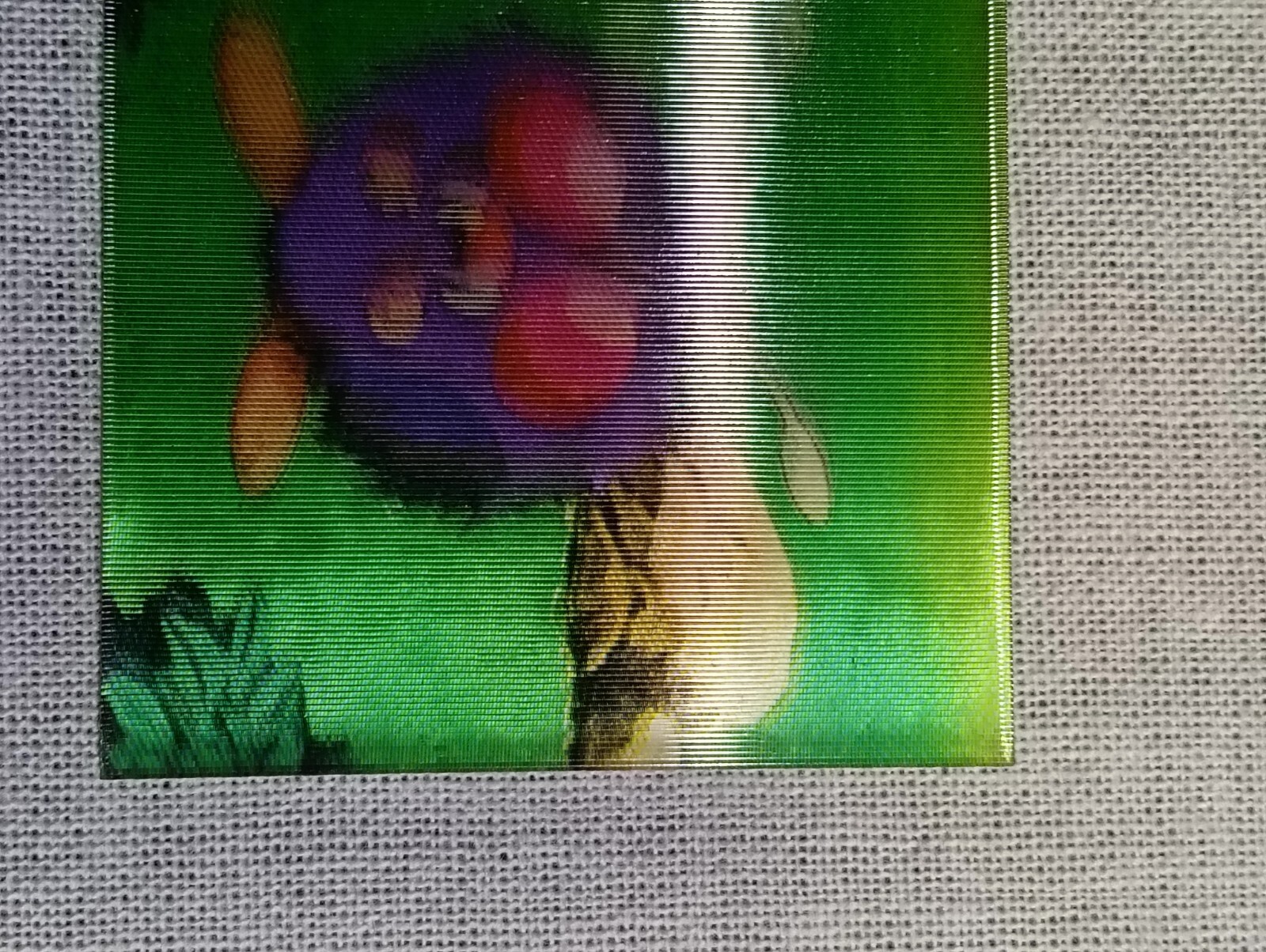 Picture 4 of 16