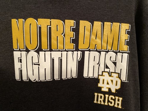 Norte Dame Fightin Irish Men’s Large Colosseum Hoodie Sweatshirt Gray NWT - Picture 2 of 6