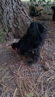 Bild 3 von 8