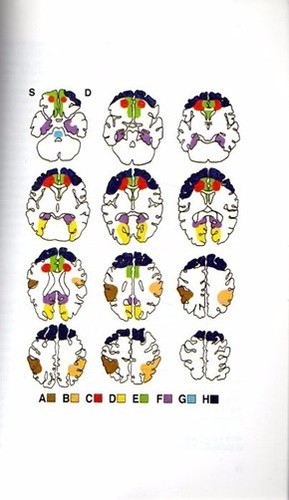 NEUROPSICOANALISI KAREN KAPLAN MARK SOLMS 2002 RAFFAELLO CORTINA (XA336) - Imagen 2 de 2