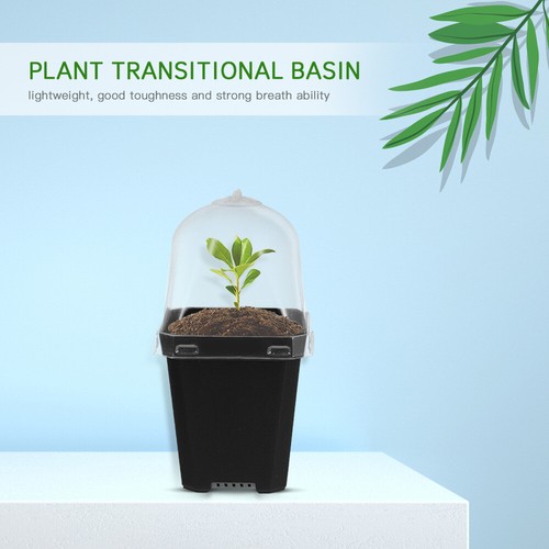 12 Sets Flower Containers Pots Nursery Microgreens Growing Trays - Picture 2 of 9