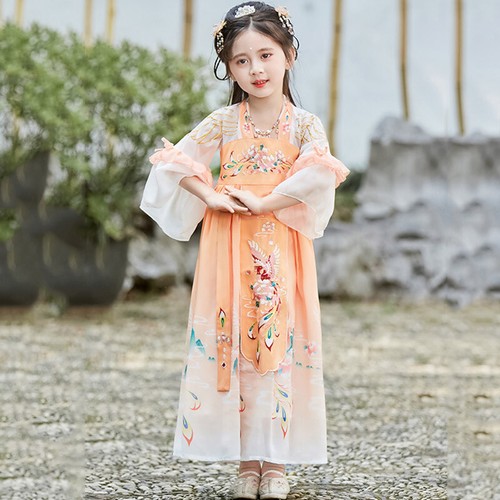 Children Girl Long Dress Chinese Classical Embroidery Chiffon Swing Princess - Picture 8 of 20