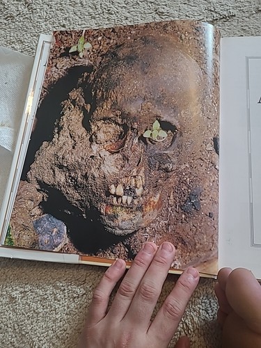 The Atlas of Archaeology : The Definitive Guide to the Location, History, and... - Afbeelding 4 van 14