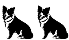 Border Collie Two PK Graphic Vinyl Decals Car Truck Tumbler Laptop Tablet Window