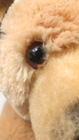 Bild 9 von 11