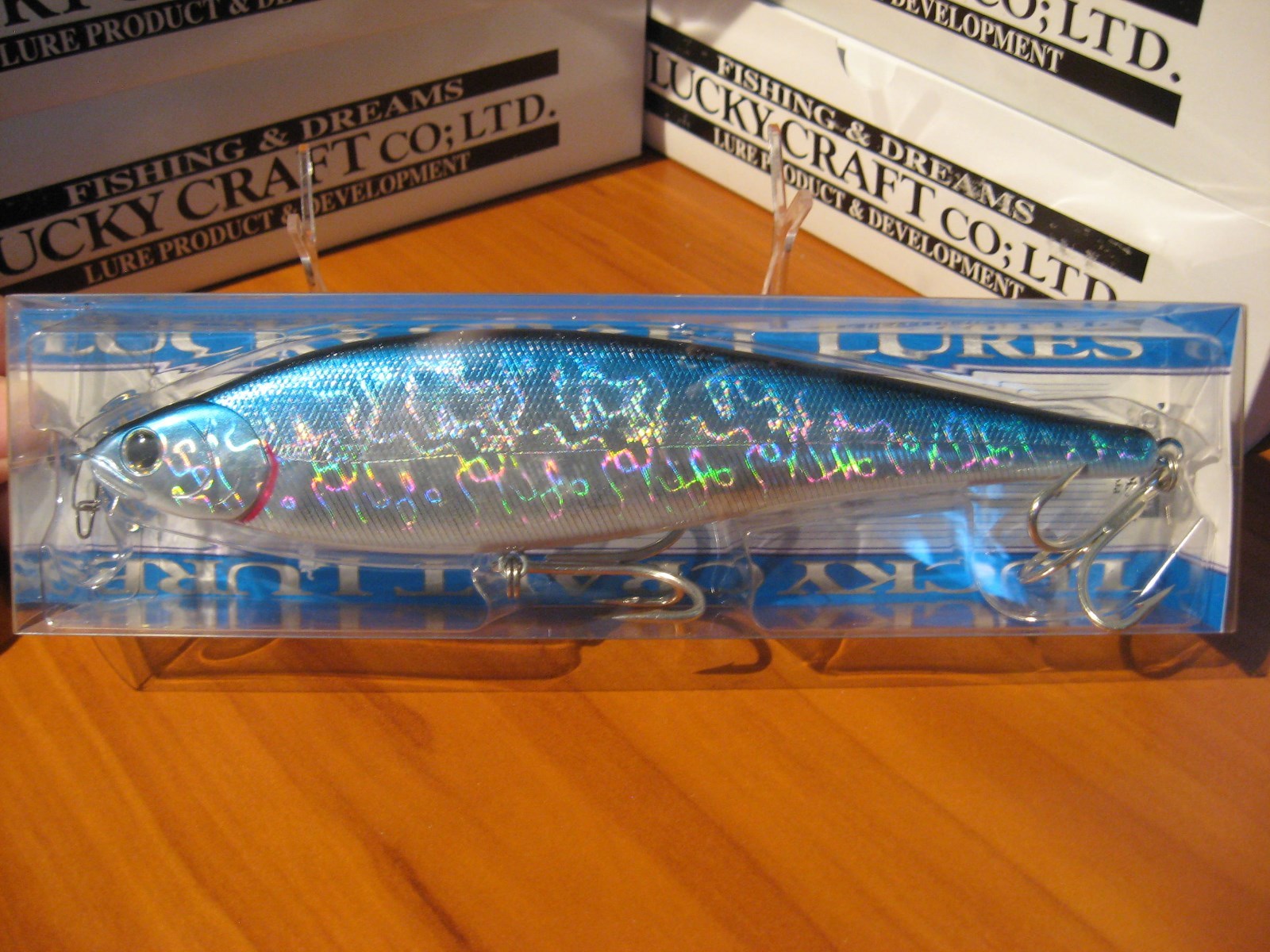 LUCKY CRAFT ESG LL POINTER 200SS SALTY AURORA BLACK 8/" 200mm SUPER SINKING LURE