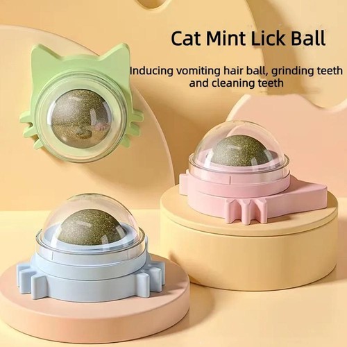 Juguetes naturales de hierba gatera para gato hoja menta gato tratamiento hierba gatera comestible NUEVO R8E0 - Imagen 10 de 22