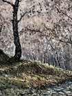 Foto 4 di 10