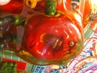 Bild 14 von 24