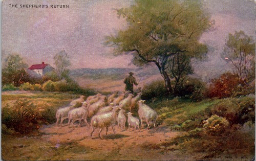 Die Rückkehr des Hirten Vintage Postkarte Wpc10 - Bild 1 von 3