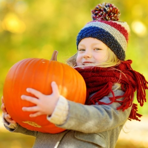 40 Pcs Artificial Craft Itrms for Fall Small Pumpkin Stems Crafts - Bild 3 von 12