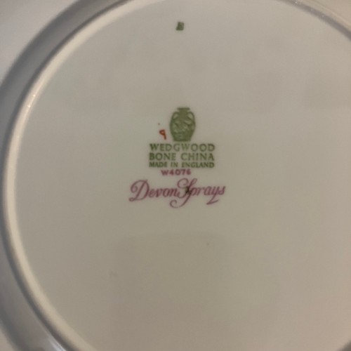 Wedgwood Bone China Set of 4 DEVON SPRAYS 4 Piece Dining Sets W4076 - Picture 13 of 15