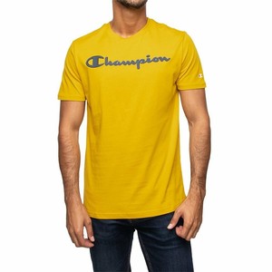 champion tshirt men