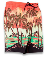 Volcom Novelty Swim Trunks 17 - NWT Mens Size Large Multicolor - 44333-A9
