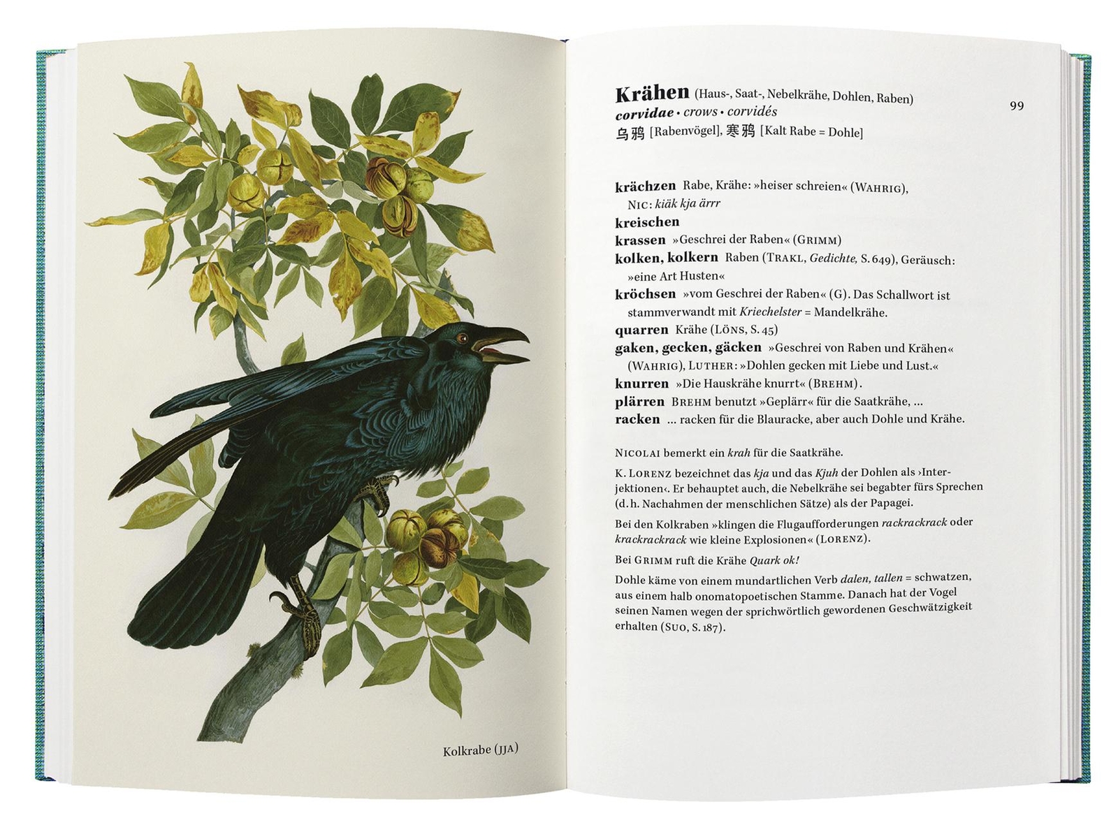 Thumbnail - Singt Der Vogel, Ruft Er Oder Schlägt Er? Peter Krauss