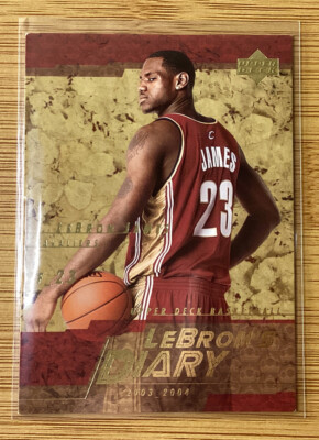 lebron james lebrons diary LJ9