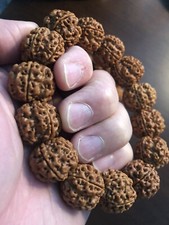 20×17mm Quality Rudraksha Bracelet 大金刚手串 五面龙
