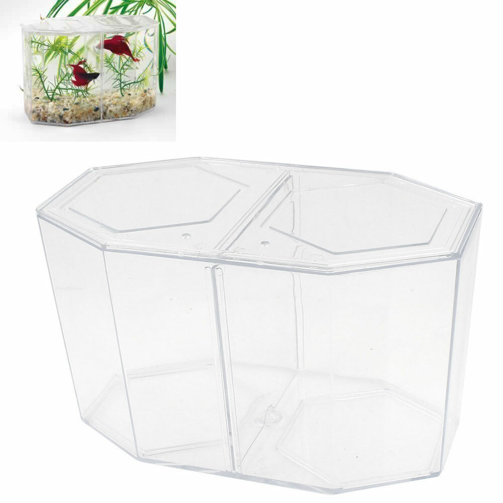 aquatic gardens mini aquarium