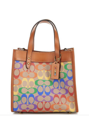 coach rainbow tote