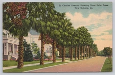 St. Charles Avenue Palm Trees New Orleans 1939 Vintage Linen Postcard
