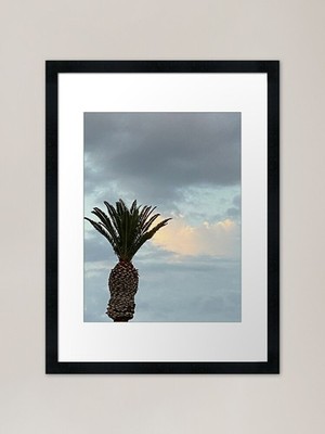 Palme und Sturmwolken gerahmt ein gerahmtes Wandbild Poster Leinwanddruck Bild