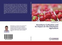 Strawberry Cultivation And Its Impact On The Palestinian Agriculture El Shatali