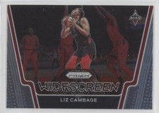 2021 Panini Prizm WNBA Widescreen Liz Cambage #10 09q5